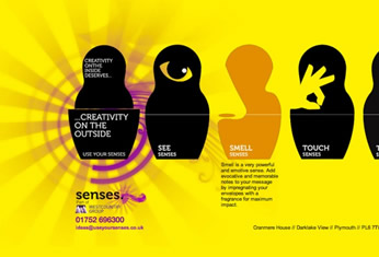 Senses-web-800x468